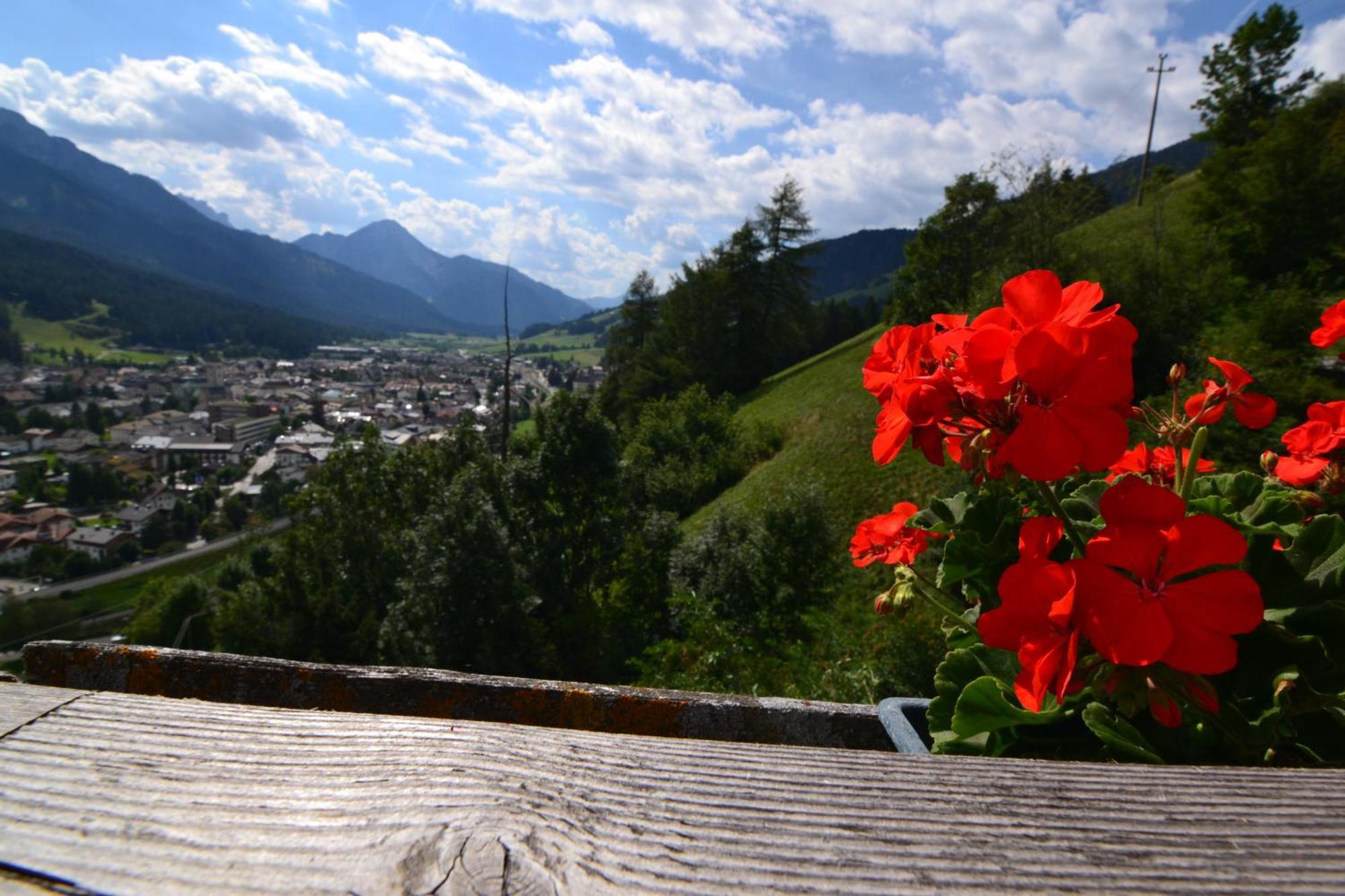 Villa Schetererhof San Candido Esterno foto